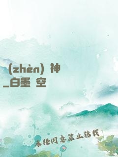 鎮(zhèn)國神帥