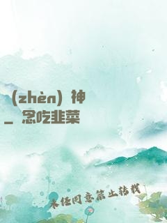 鎮(zhèn)國神帥
