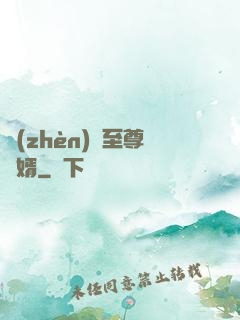 鎮(zhèn)國至尊龍婿