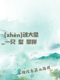 鎮(zhèn)魂大圣