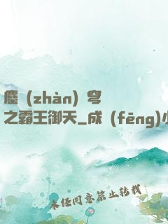 鏖戰(zhàn)蒼穹之霸王御天