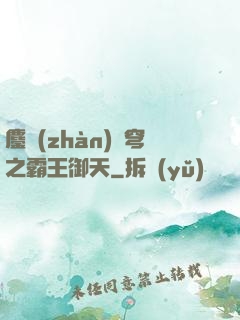 鏖戰(zhàn)蒼穹之霸王御天