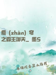 鏖戰(zhàn)蒼穹之霸王御天