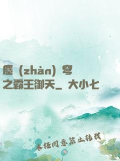 鏖戰(zhàn)蒼穹之霸王御天