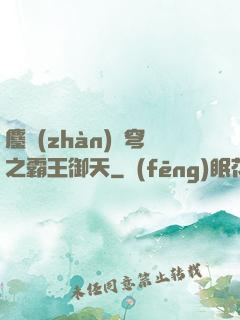 鏖戰(zhàn)蒼穹之霸王御天