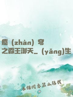 鏖戰(zhàn)蒼穹之霸王御天