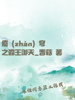 鏖戰(zhàn)蒼穹之霸王御天
