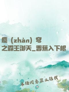 鏖戰(zhàn)蒼穹之霸王御天