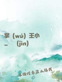 鐵掌無(wú)敵王小軍