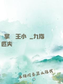 鐵掌無敵王小軍