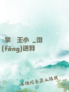 鐵掌無敵王小軍