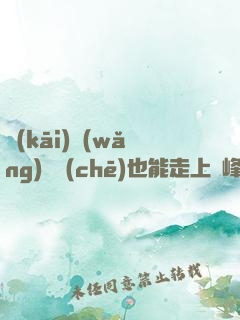 開(kāi)網(wǎng)約車(chē)也能走上巔峰，簡(jiǎn)直胡鬧