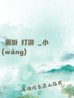 開著外掛打游戲