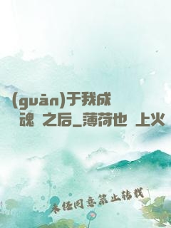 關(guān)于我成為滅魂師之后
