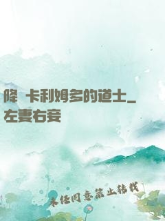 降臨卡利姆多的道士