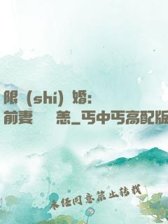 限時(shí)閃婚：前妻別來無恙