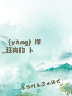 陰陽(yáng)偵探