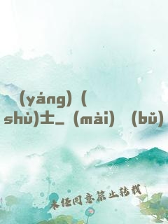陰陽(yáng)術(shù)士