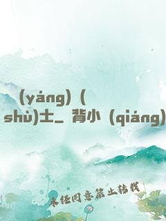 陰陽(yáng)術(shù)士