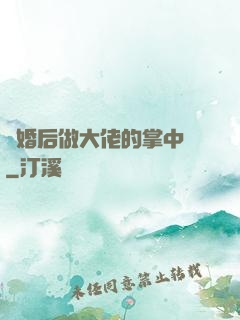 隱婚后做大佬的掌中嬌