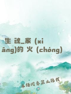雙生軍魂