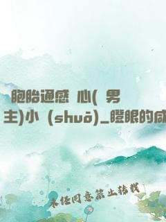 雙胞胎通感夾心(雙男主)小說(shuō)