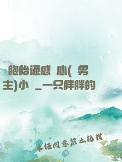 雙胞胎通感夾心(雙男主)小說