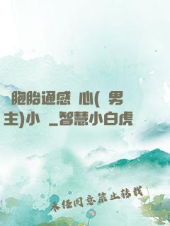 雙胞胎通感夾心(雙男主)小說