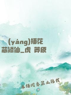 雙陽(yáng)插花芯修仙