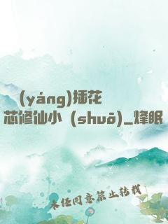雙陽(yáng)插花芯修仙小說(shuō)