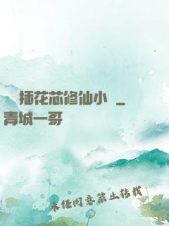 雙陽插花芯修仙小說