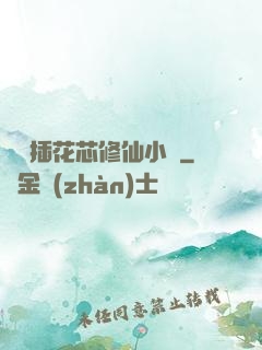 雙陽插花芯修仙小說