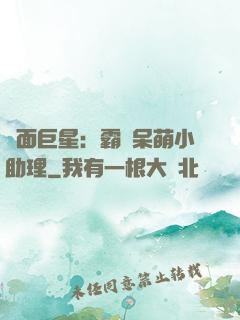 雙面巨星：霸愛呆萌小助理