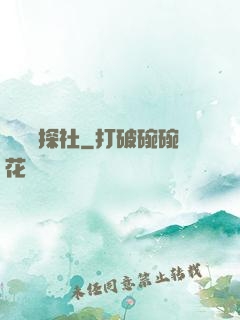 雙龍偵探社