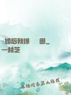 離婚后我爆紅娛樂圈
