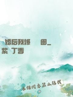 離婚后我爆紅娛樂圈