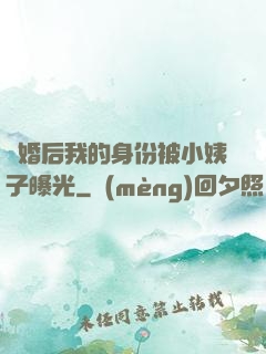 離婚后我的身份被小姨子曝光
