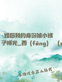 離婚后我的身份被小姨子曝光