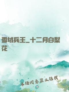 雪域兵王