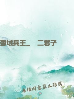 雪域兵王