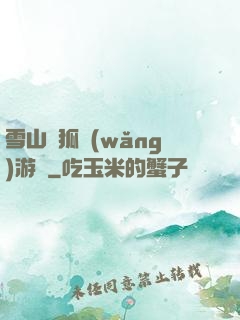 雪山飛狐網(wǎng)游錄