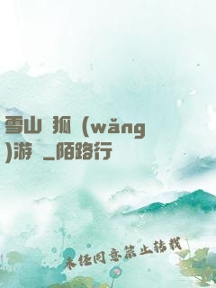 雪山飛狐網(wǎng)游錄