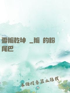 雪狐乾坤錄