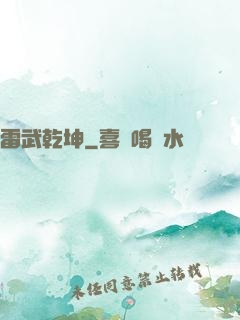 雷武乾坤