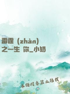 雷霆戰(zhàn)機之一生為你