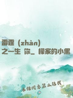 雷霆戰(zhàn)機之一生為你