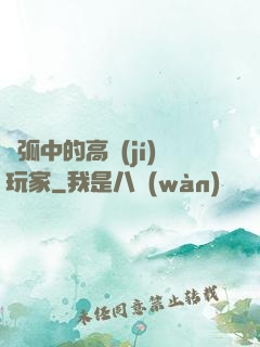 電弧中的高級(jí)玩家