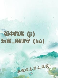 電弧中的高級(jí)玩家