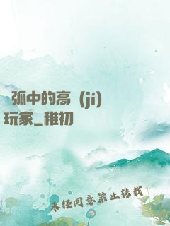 電弧中的高級(jí)玩家