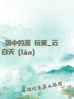 電弧中的高級玩家